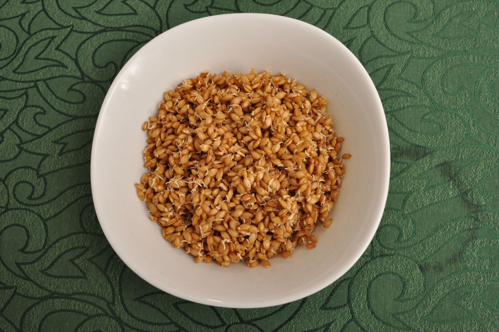 Nikon D90 sample photo. Einkorn, food, wheat photography