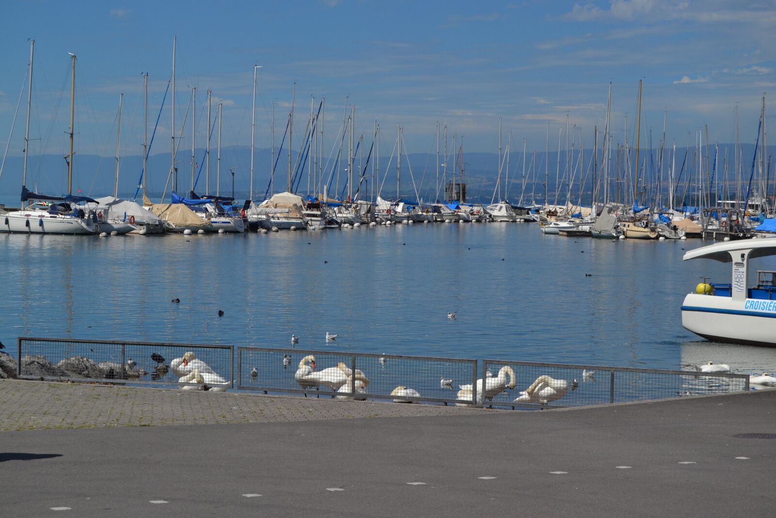 Nikon D3100 sample photo. Lake, leman, switzerland photography