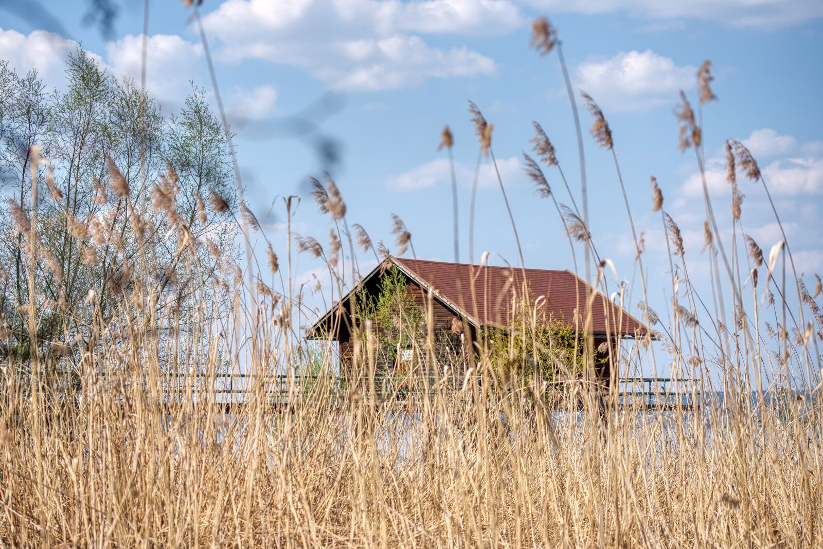 Nikon D750 sample photo. Lakeside, reed, hut photography