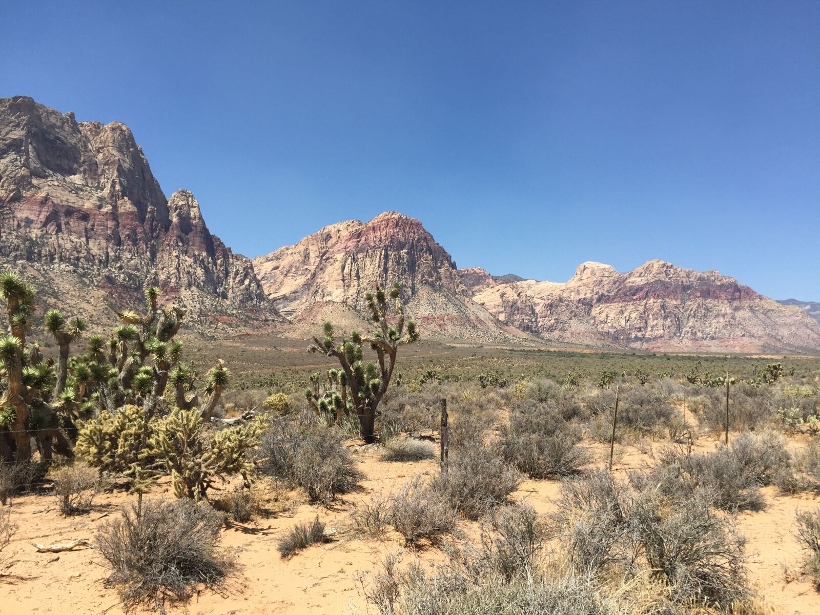Apple iPhone 6 sample photo. Red rock canyon, las photography