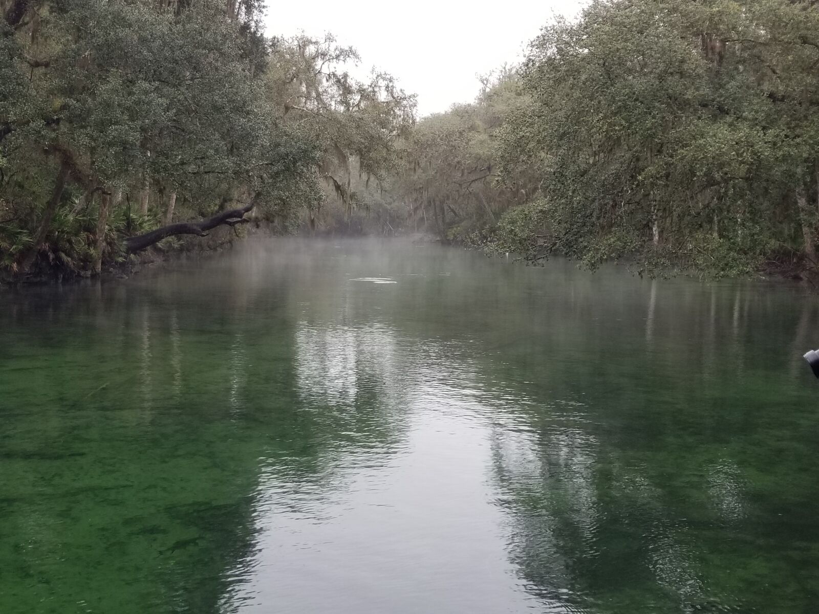 Samsung Galaxy S8 sample photo. Fog, water, spring photography