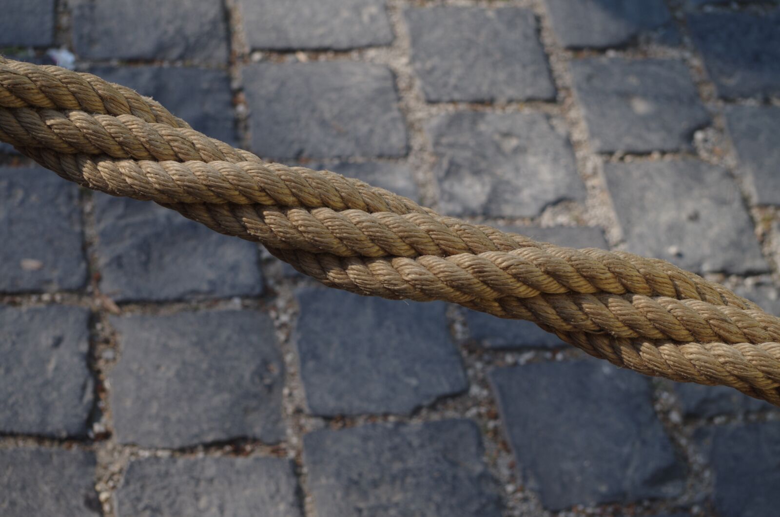 Pentax K-500 sample photo. Rope, lasso photography