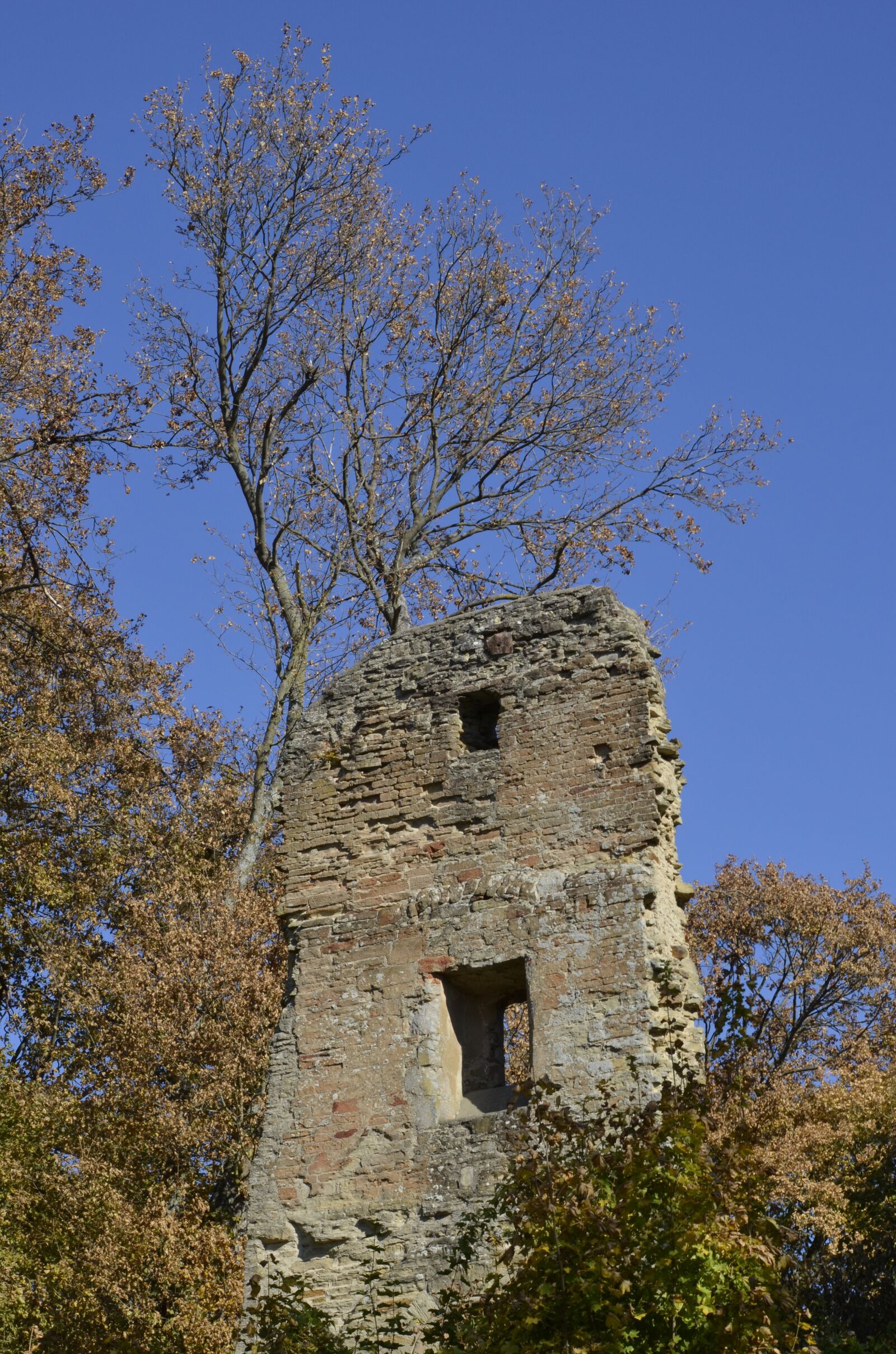 Nikon D5100 sample photo. Burgruine, masonry, middle ages photography
