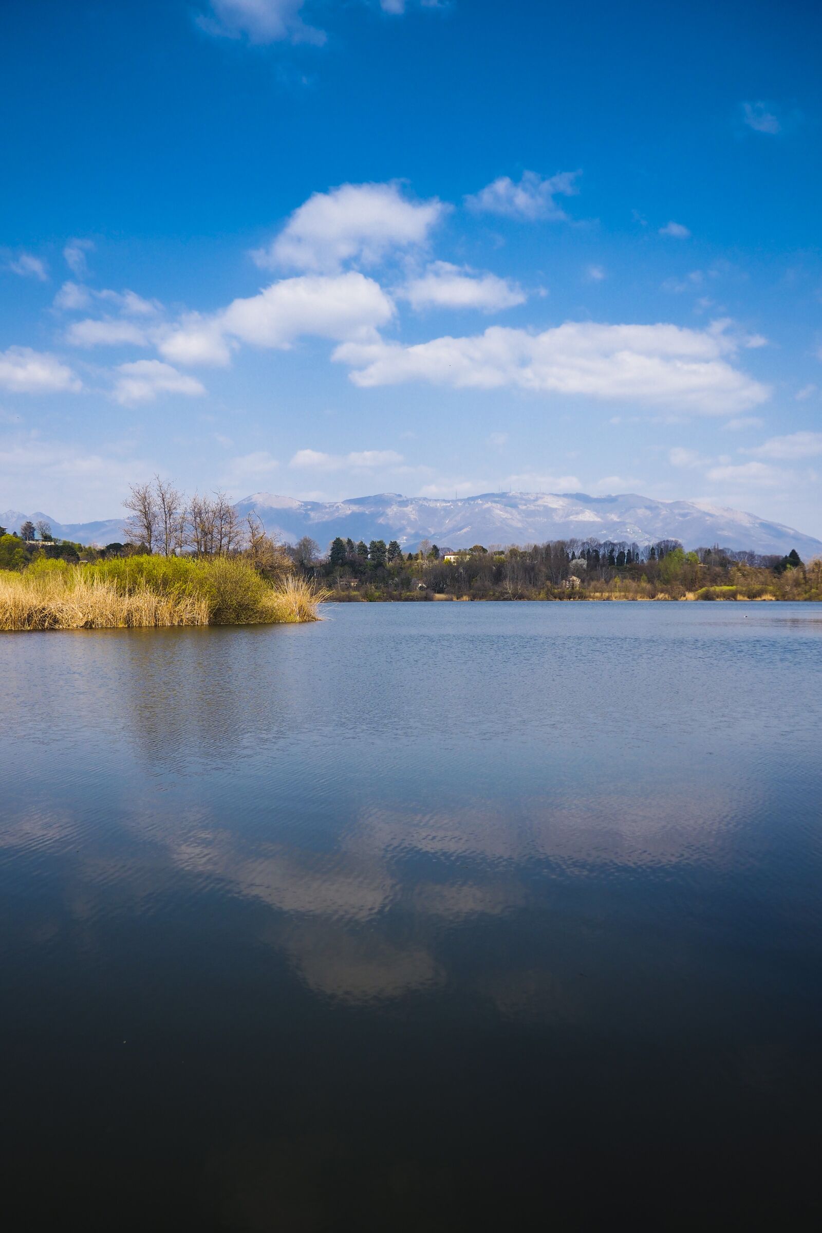 Olympus OM-D E-M10 II sample photo. Lake, nature, landscape photography
