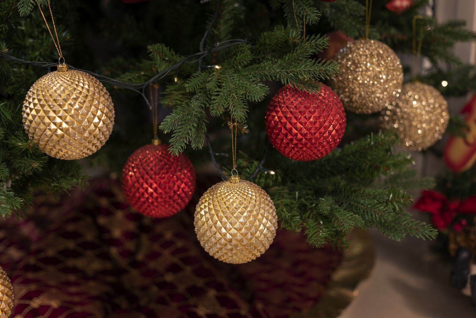 Nikon D750 sample photo. Christmas, lights, holiday photography