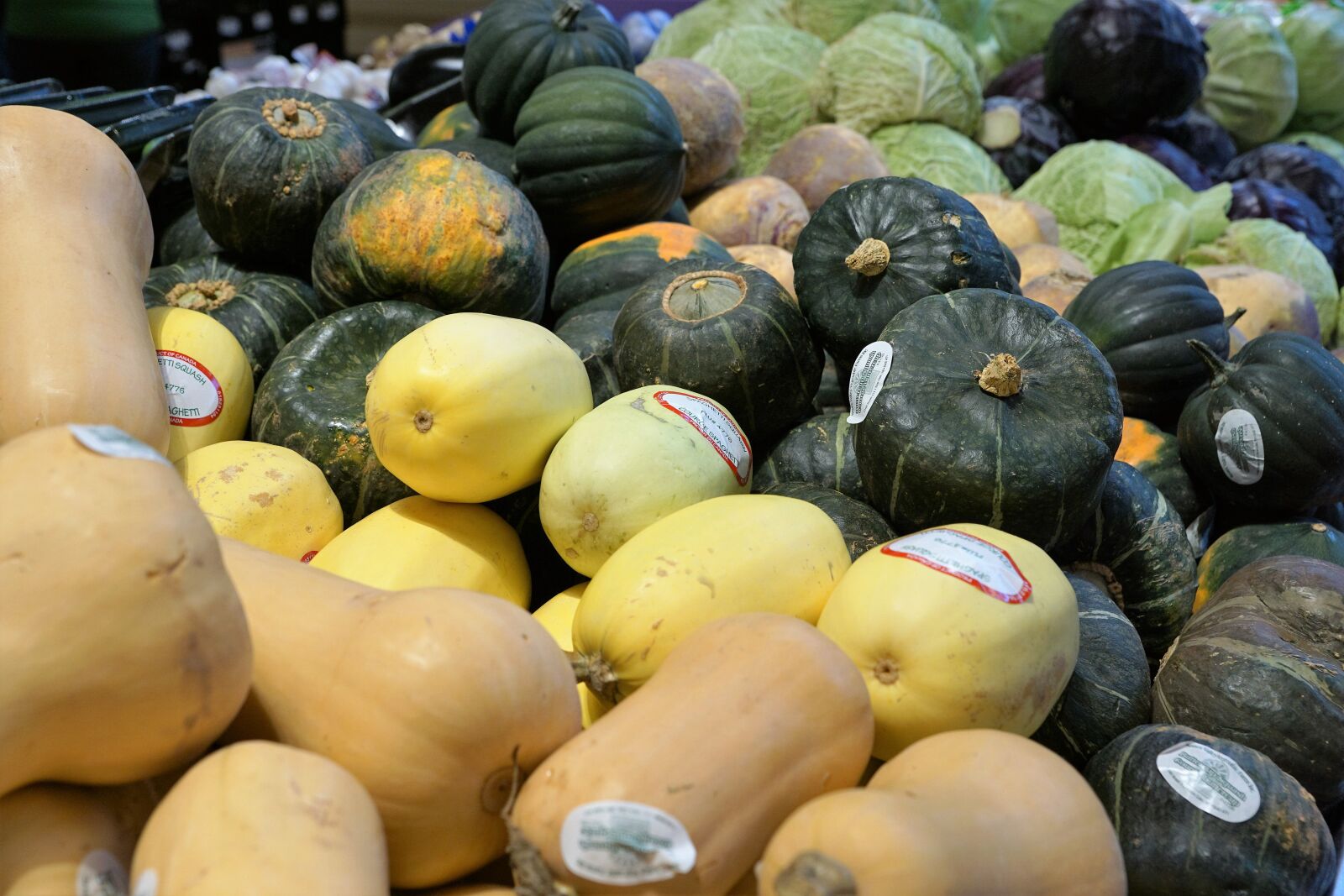 Sony ILCA-77M2 + Sony DT 16-50mm F2.8 SSM sample photo. Pumpkin, eat, market photography