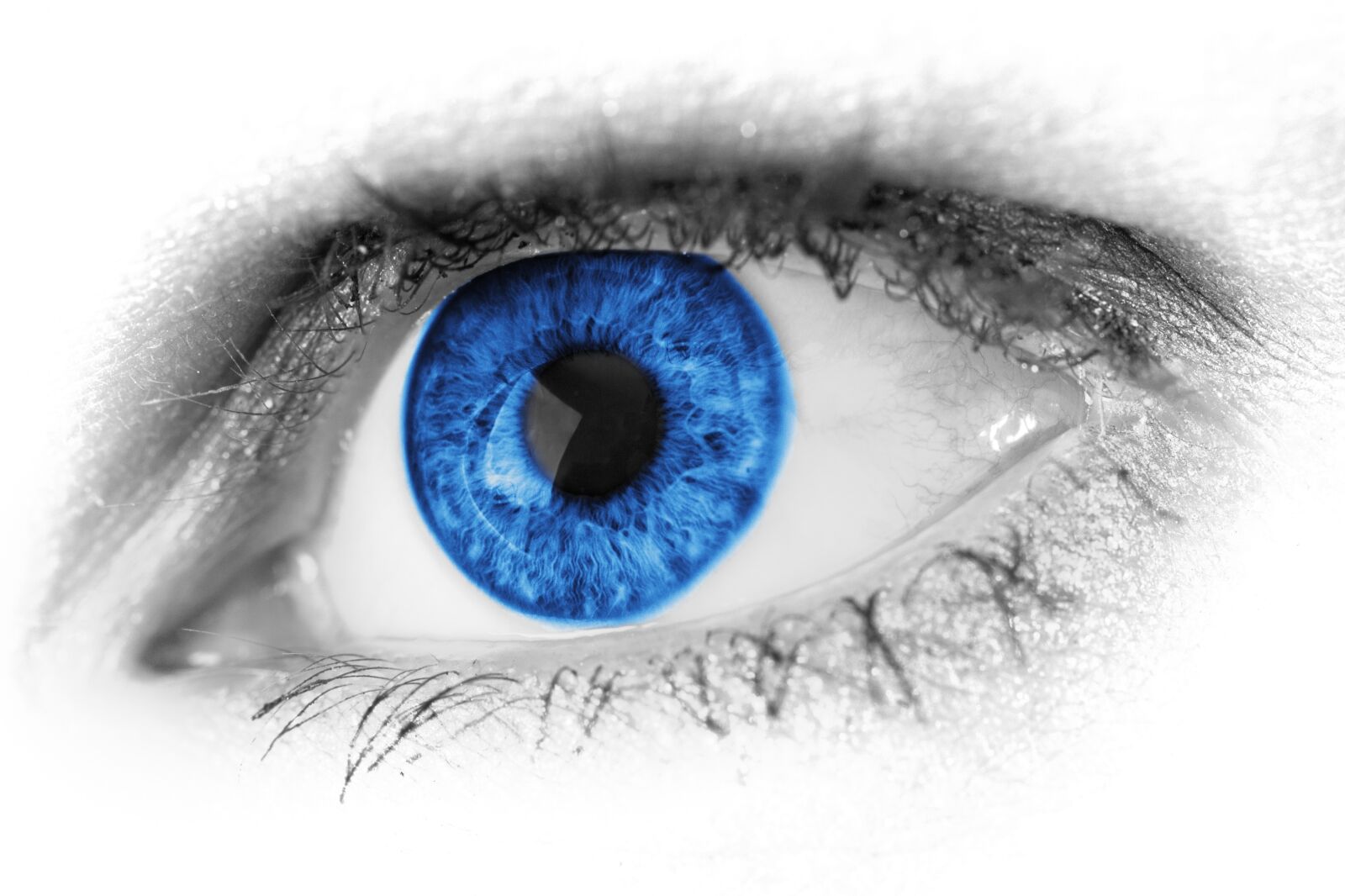 Canon EOS 5D Mark II sample photo. Abstract, beautiful, beauty, blue photography