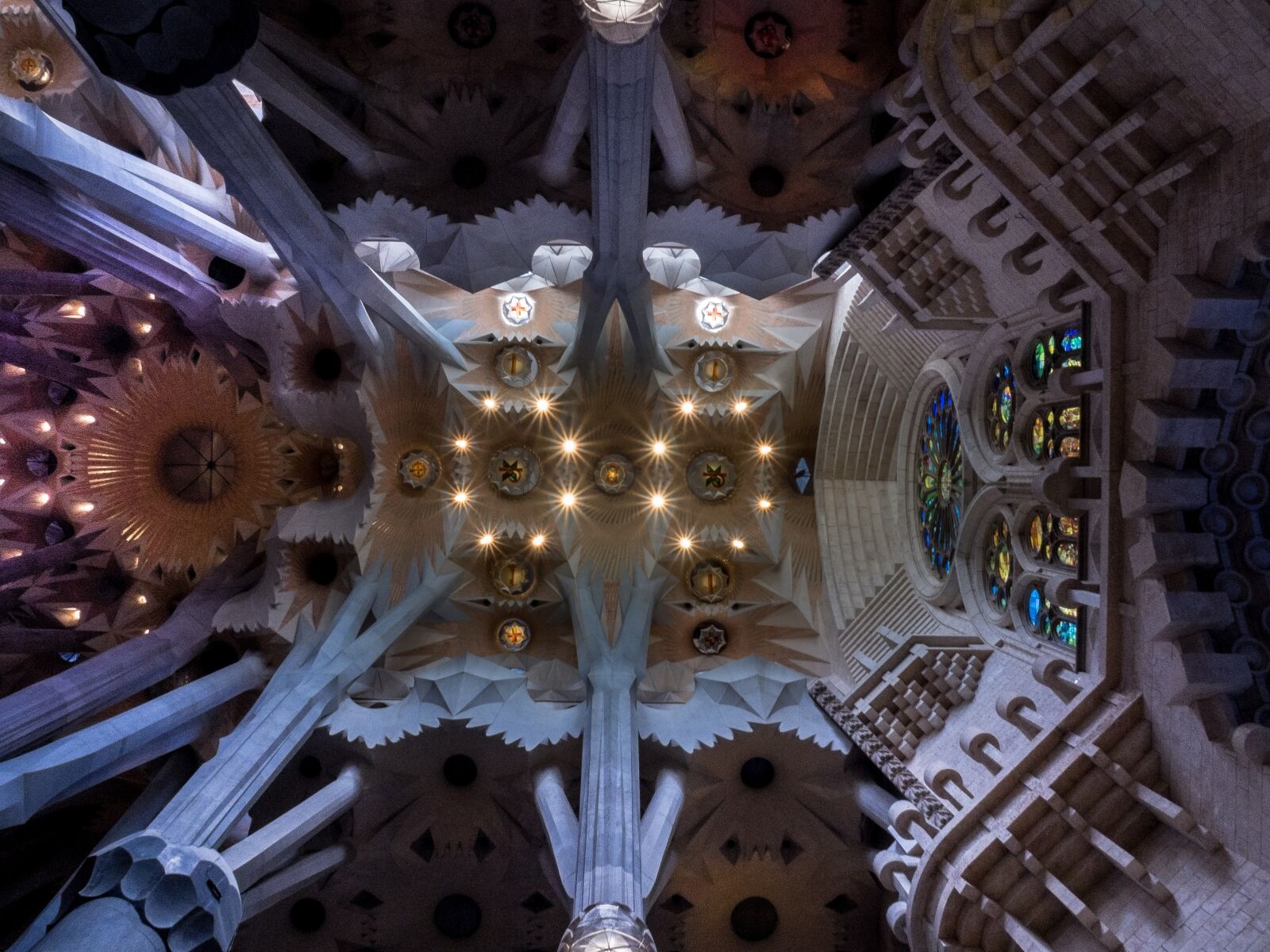 Olympus OM-D E-M5 II sample photo. Ceiling, cathedral, sagrada fam photography
