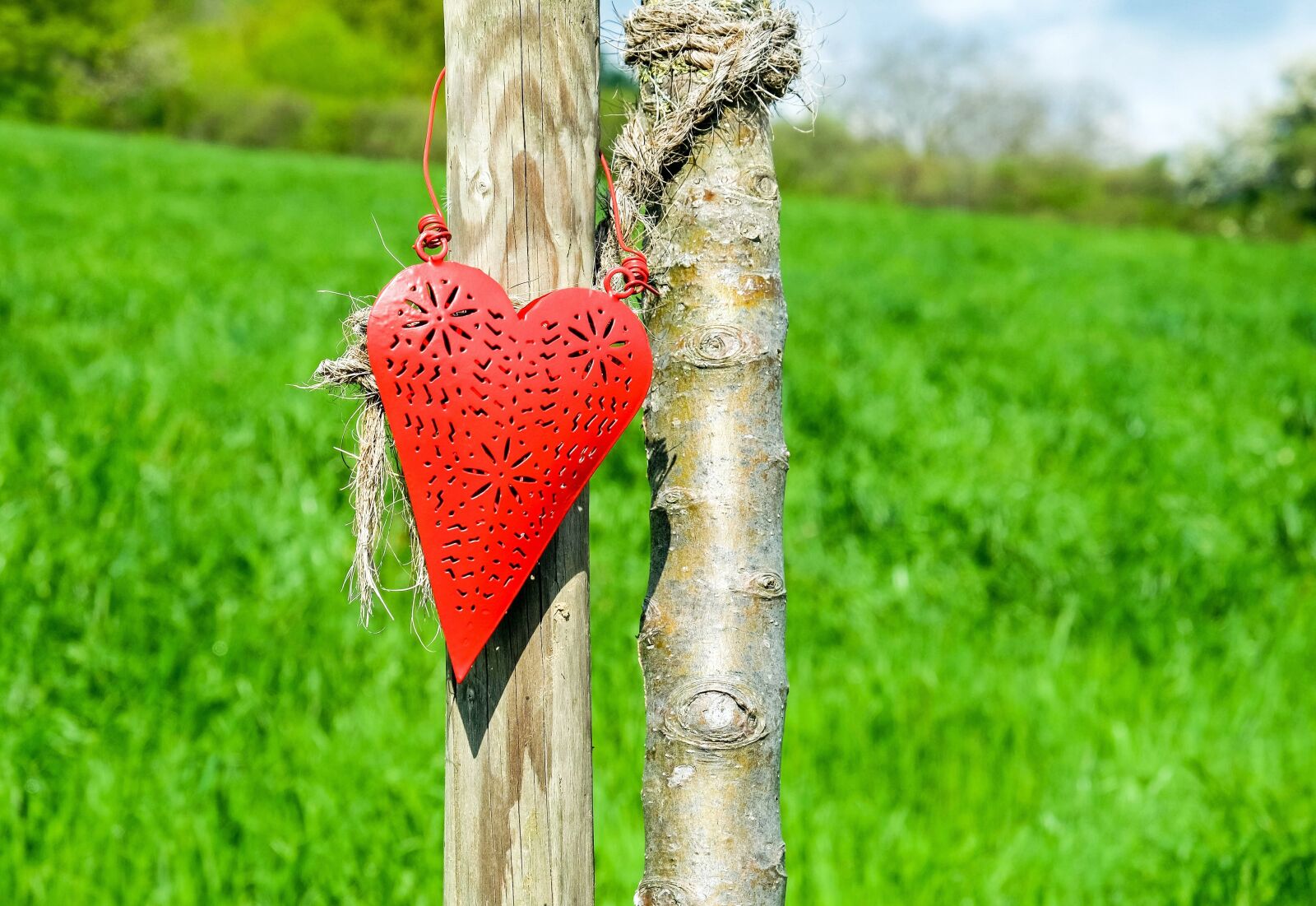 Fujifilm X-T10 sample photo. Heart, red, affection photography