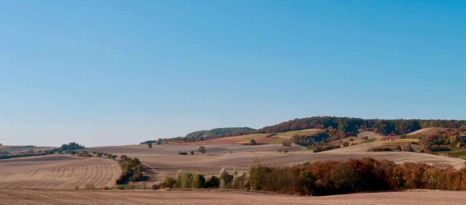 Canon PowerShot G7 X Mark II sample photo. Landscape, agriculture, autumn photography