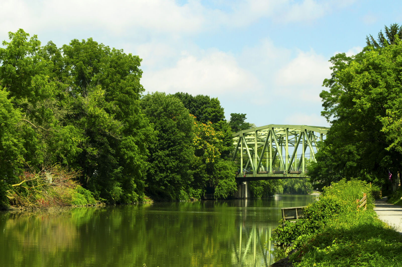 Nikon D3200 sample photo. Blue, sky, bridge, green photography
