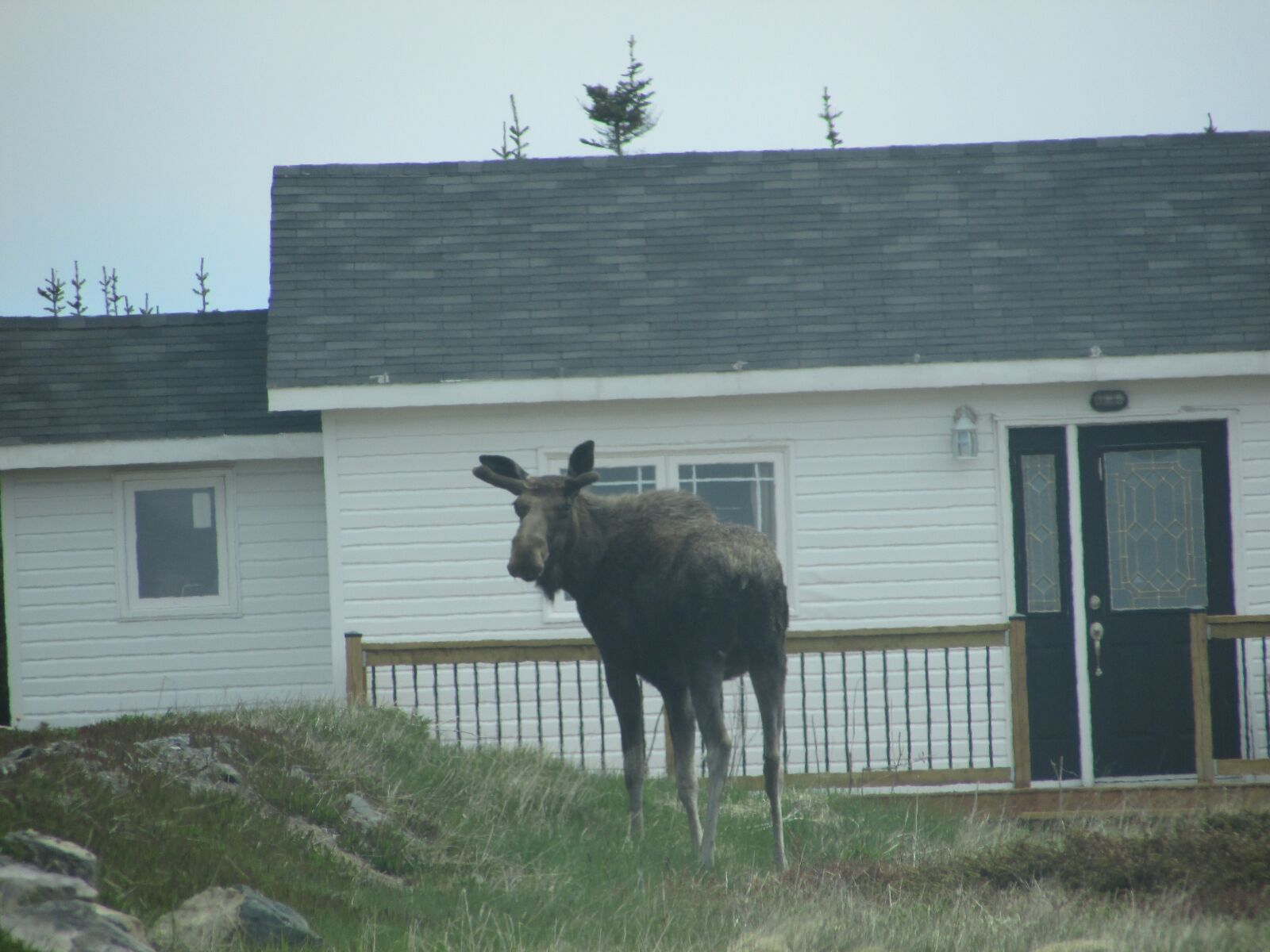 Canon PowerShot SX400 IS sample photo. Tourist, landmark, canadian photography