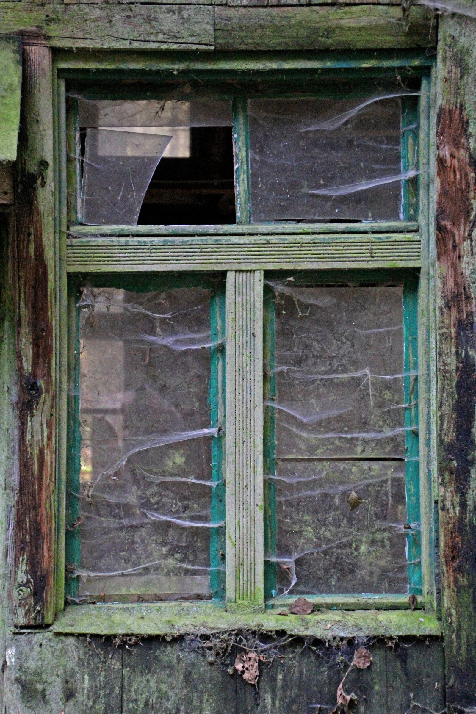 Canon EOS 60D sample photo. Old, window, old building photography