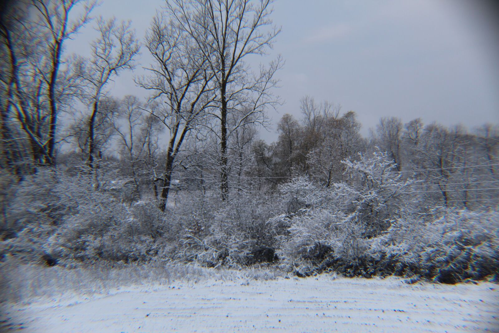 Canon EOS 1300D (EOS Rebel T6 / EOS Kiss X80) sample photo. Michigan winter, white, snow photography