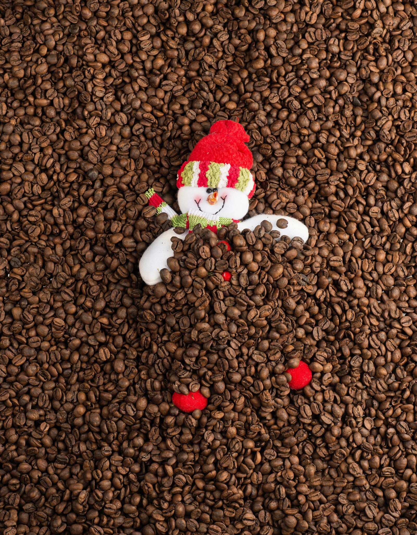 Nikon D610 sample photo. Christmas, snowman, lights photography