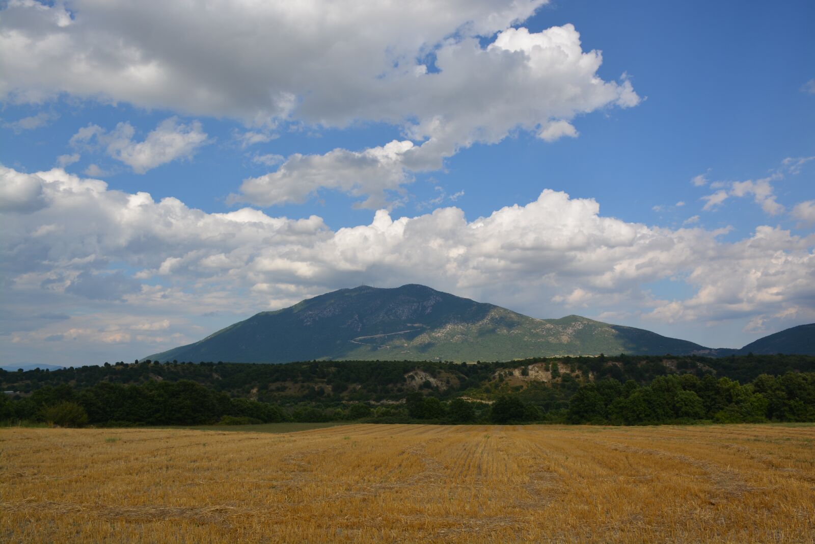 Nikon D5200 sample photo. Straw, sky, nature photography