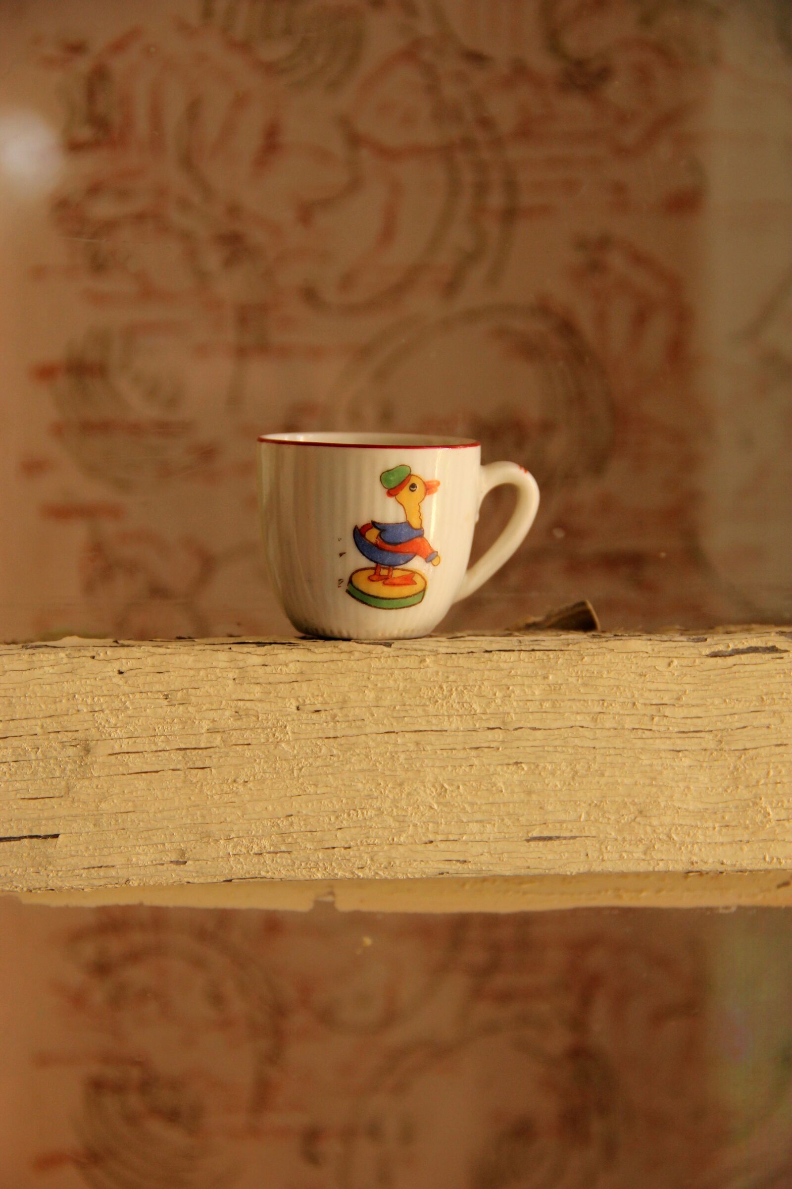 Canon EOS 550D (EOS Rebel T2i / EOS Kiss X4) sample photo. Cup, child, duck photography