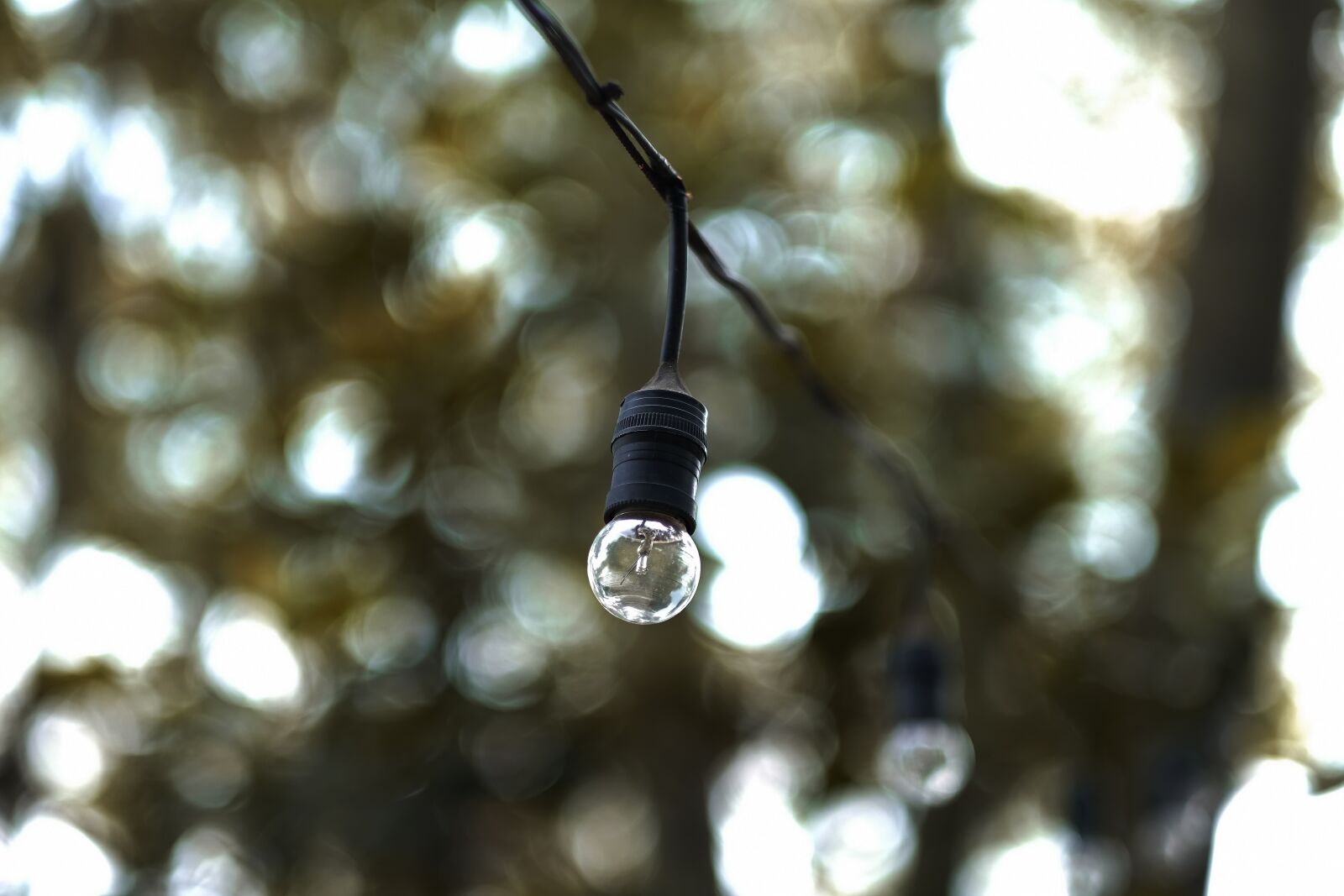 Fujifilm X-H1 + Fujifilm XF 56mm F1.2 R sample photo. Leaf, lifestyle, nature photography