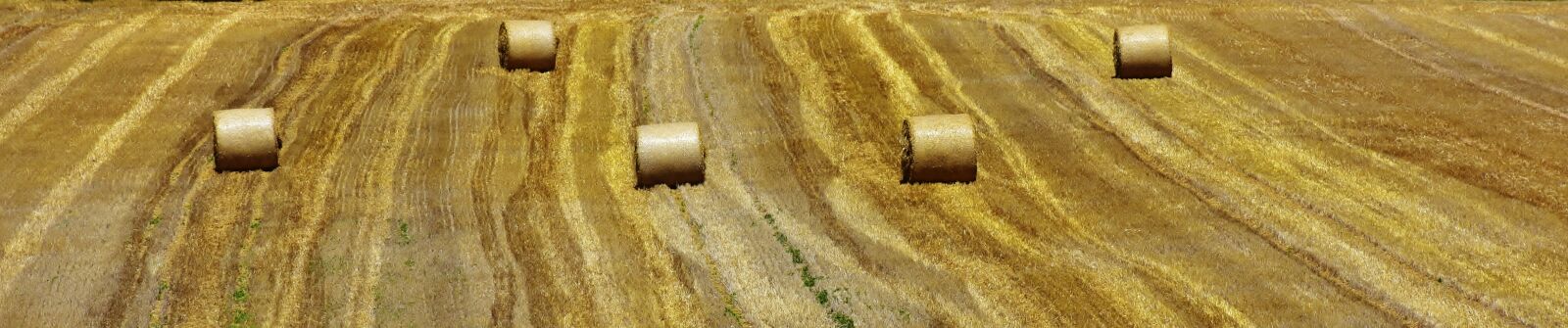 Nikon D7200 sample photo. Hay bales, hay, straw photography