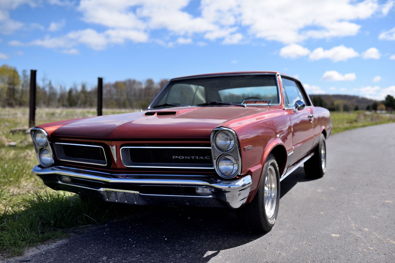Nikon D810 sample photo. Pontiac, 1965, lemans photography