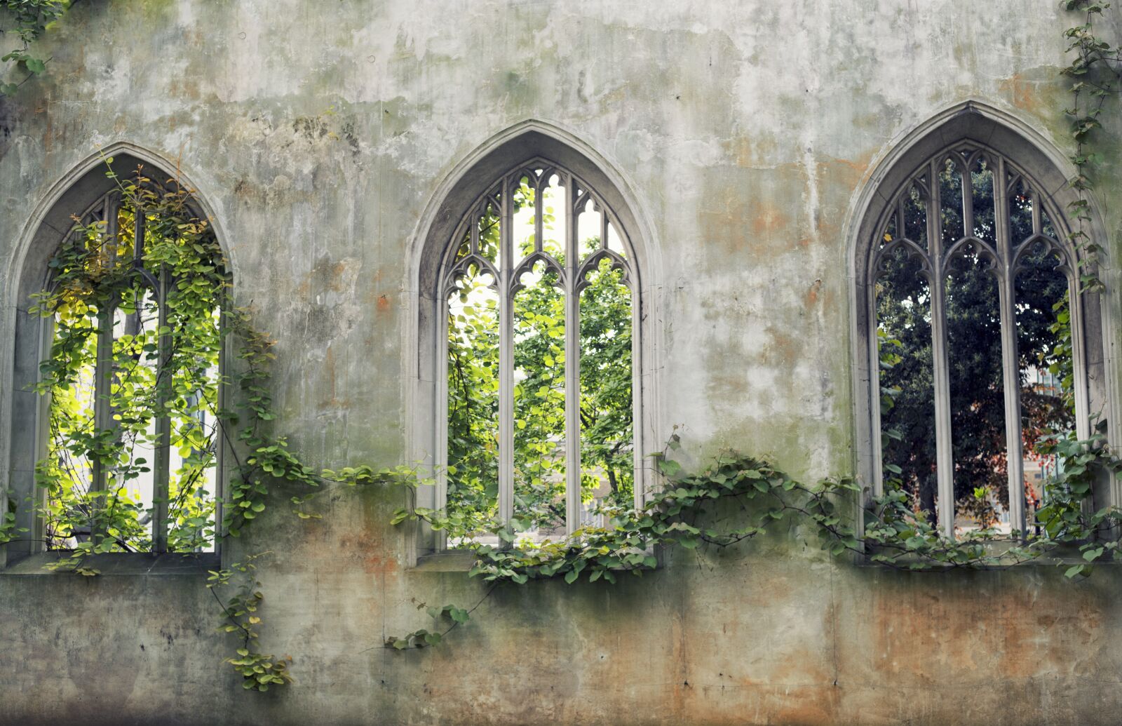 Canon EOS 6D + Canon EF 50mm F1.8 STM sample photo. English, garden, windows photography