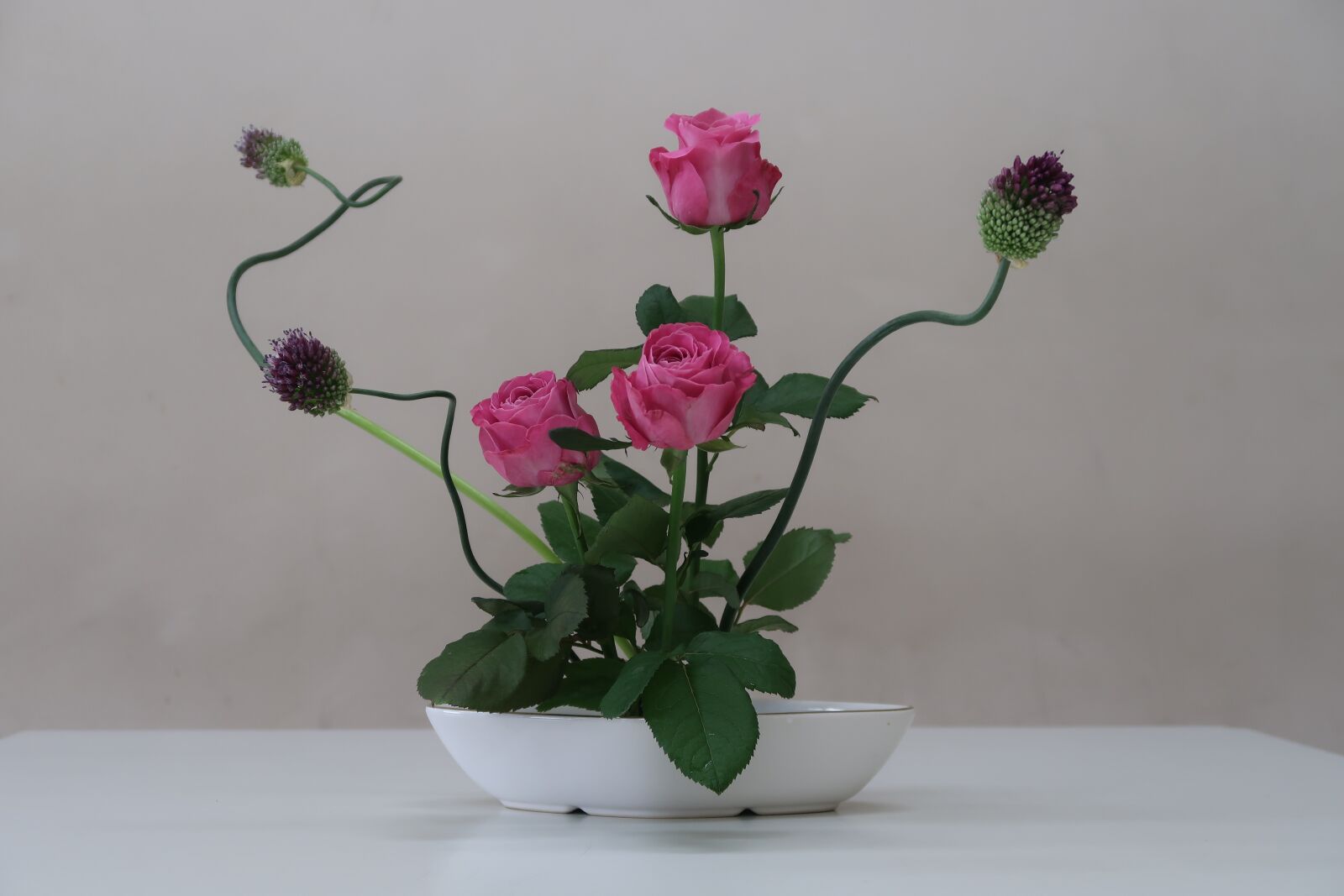 Canon PowerShot G7 X Mark II sample photo. Flowers, rose, purple photography