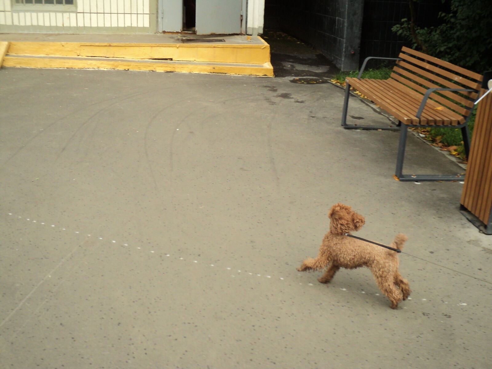 Sony DSC-S2100 sample photo