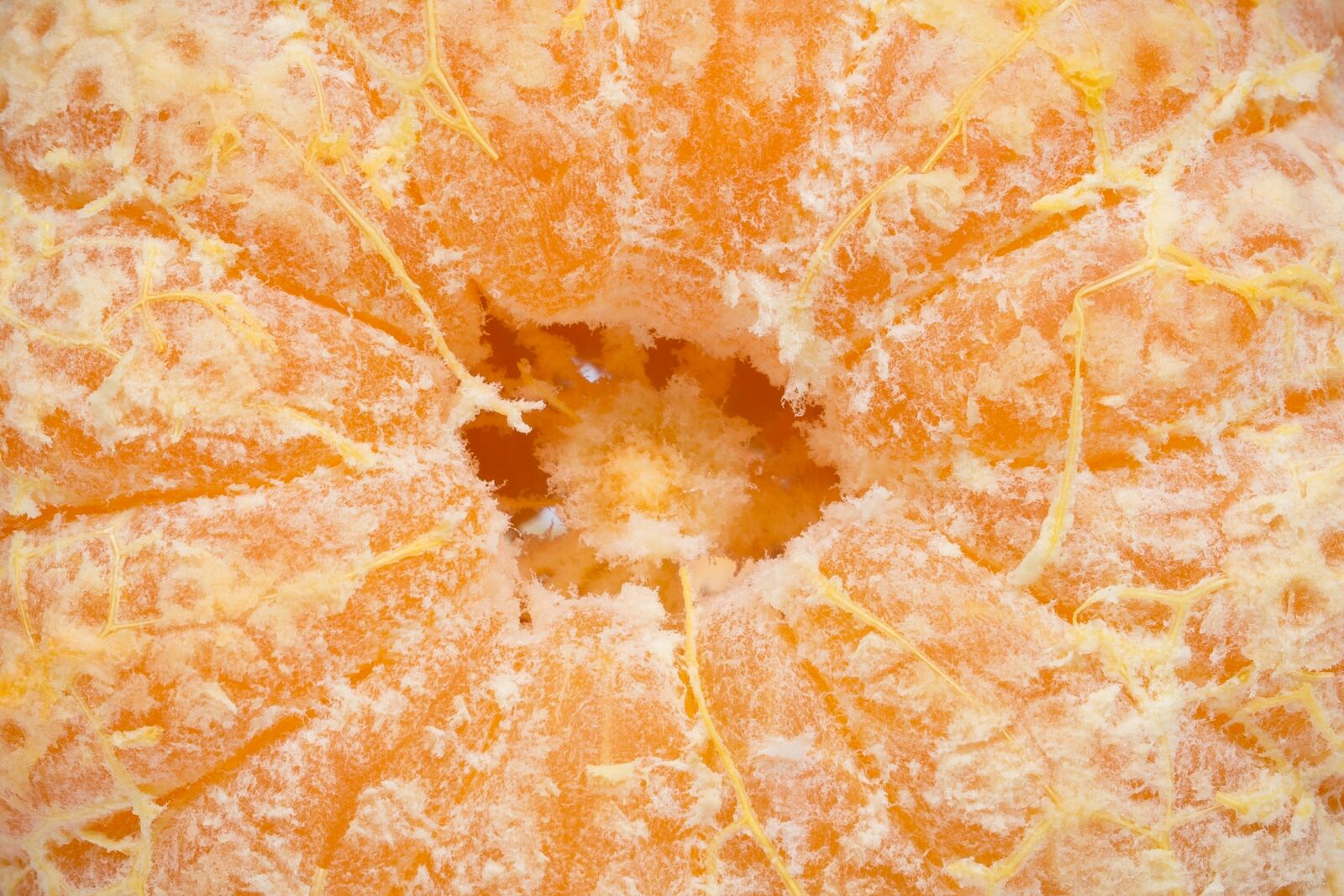 Nikon D7100 sample photo. Orange, fruit, food photography