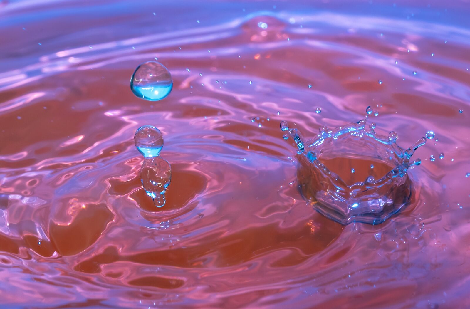 Canon EF-S 60mm F2.8 Macro USM sample photo. Splash, drop of water photography