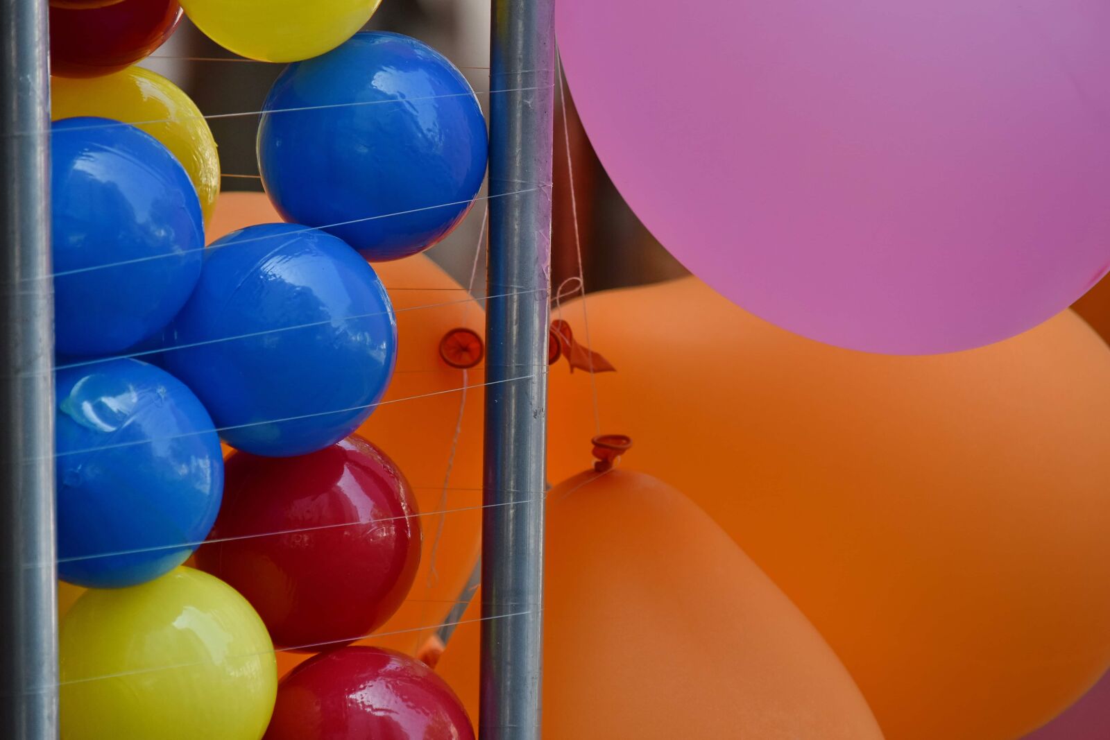 Nikon D5500 sample photo. Ball, balloon, color, helium photography