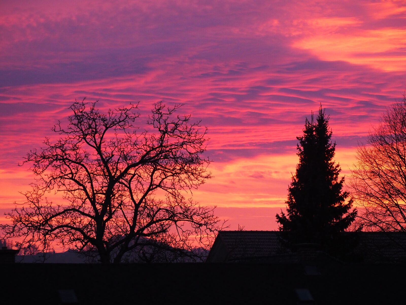 Olympus OM-D E-M10 sample photo. Afterglow, sky, purple photography