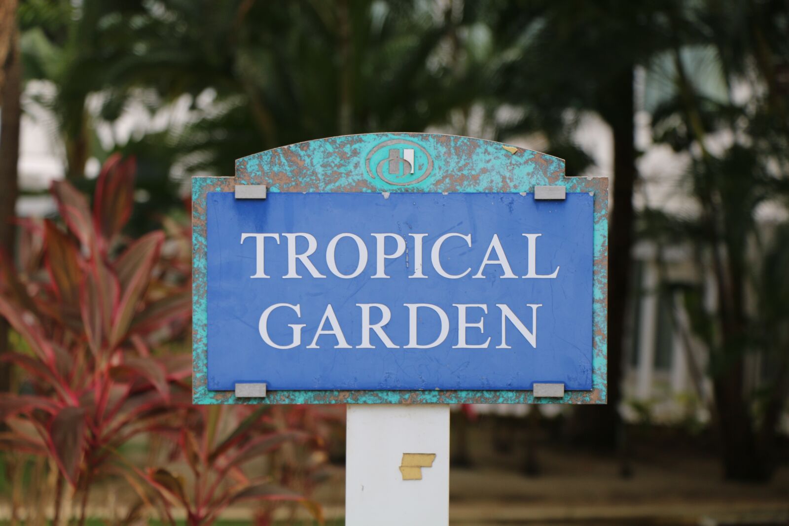 Canon EOS 70D sample photo. Tropical, garden, hilton photography