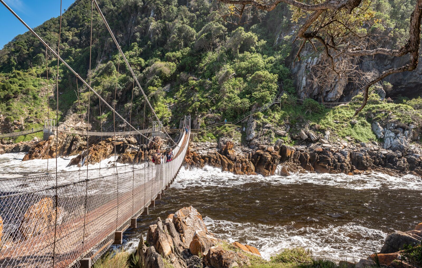 Nikon D750 sample photo. Suspension bridge, mouth, bridge photography
