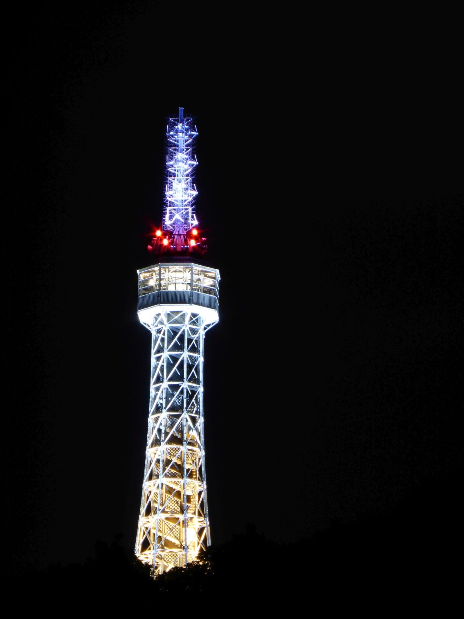 Panasonic DMC-TZ41 sample photo. Prague eiffel tower, pet photography