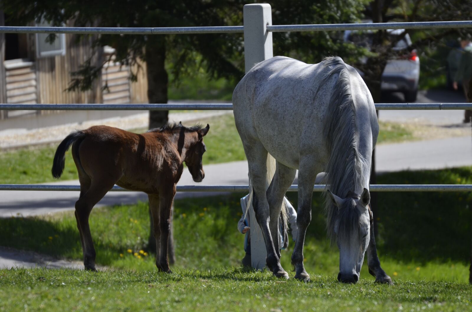 Nikon D5100 sample photo. Main and state stud photography