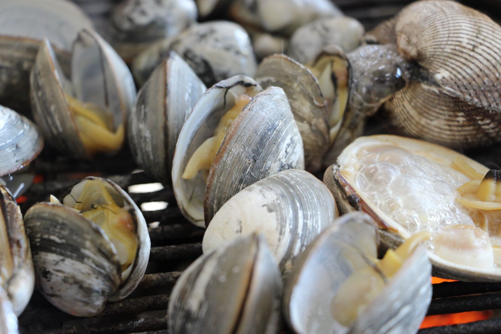Canon EOS 100D (EOS Rebel SL1 / EOS Kiss X7) sample photo. Clam, seafood, cooking photography