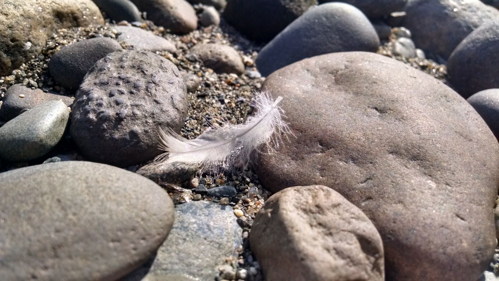 Motorola Moto X (1st Gen) sample photo. Feather, rocks, texture photography