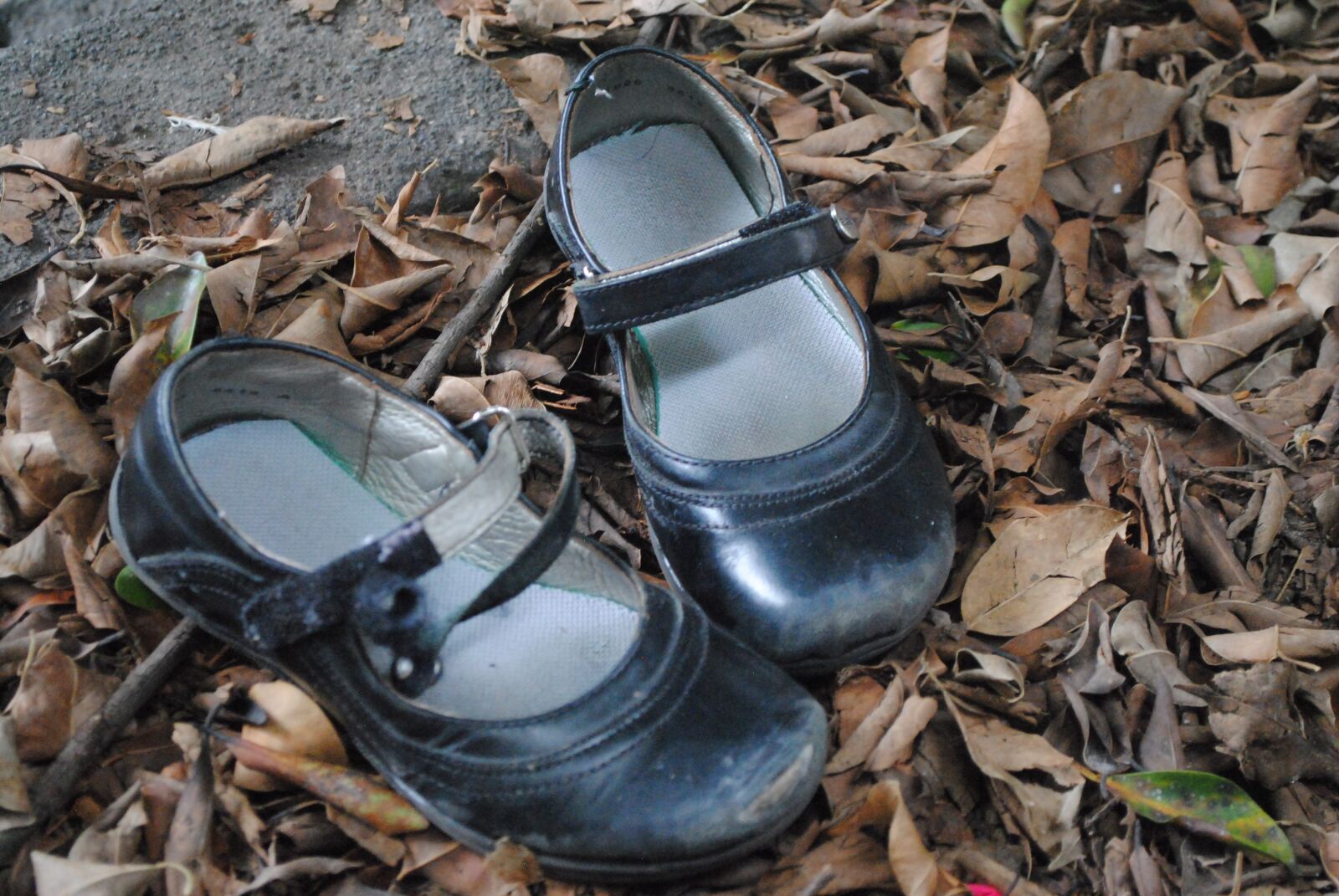 Nikon D3000 sample photo. Tapeworm, lost, urban shoes photography