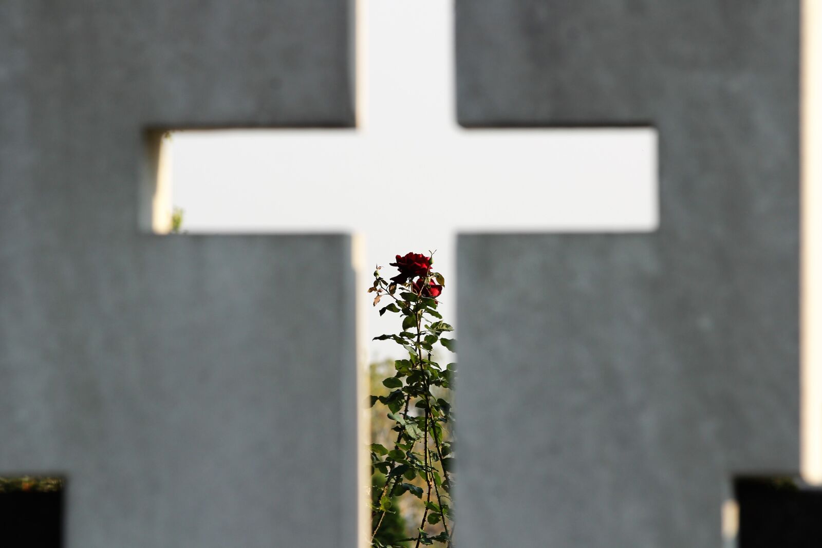 Canon EOS 600D (Rebel EOS T3i / EOS Kiss X5) + Canon EF 70-300mm F4-5.6 IS USM sample photo. Cross, roses, monument photography