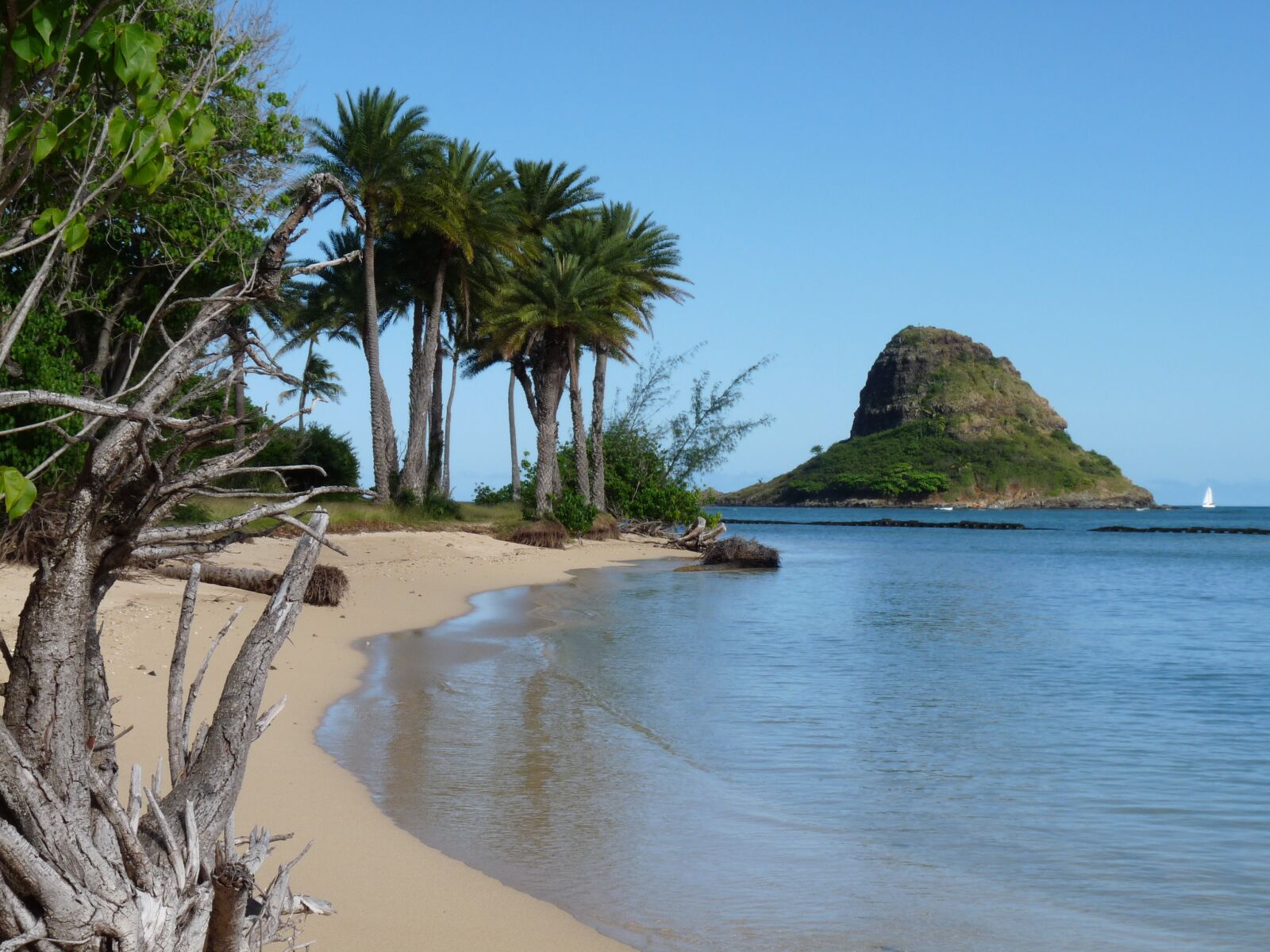 Panasonic Lumix DMC-FZ28 sample photo. Hawaii, beach, coast photography