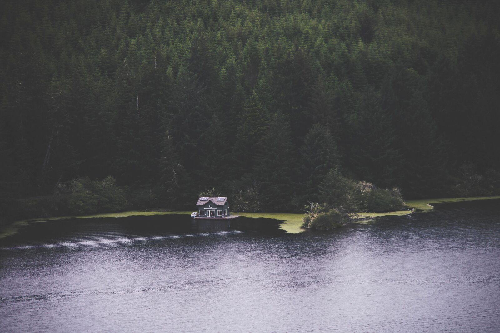 Nikon D5200 sample photo. Forest, lake, nature, house photography