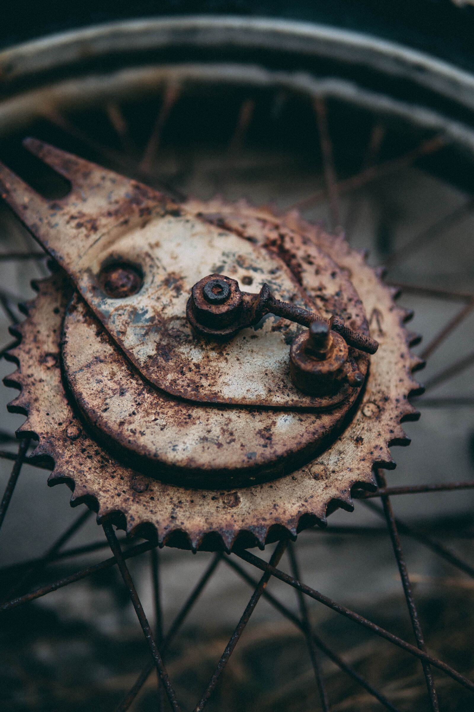 Sony a6500 sample photo. Wheel, vintage, bicycle photography