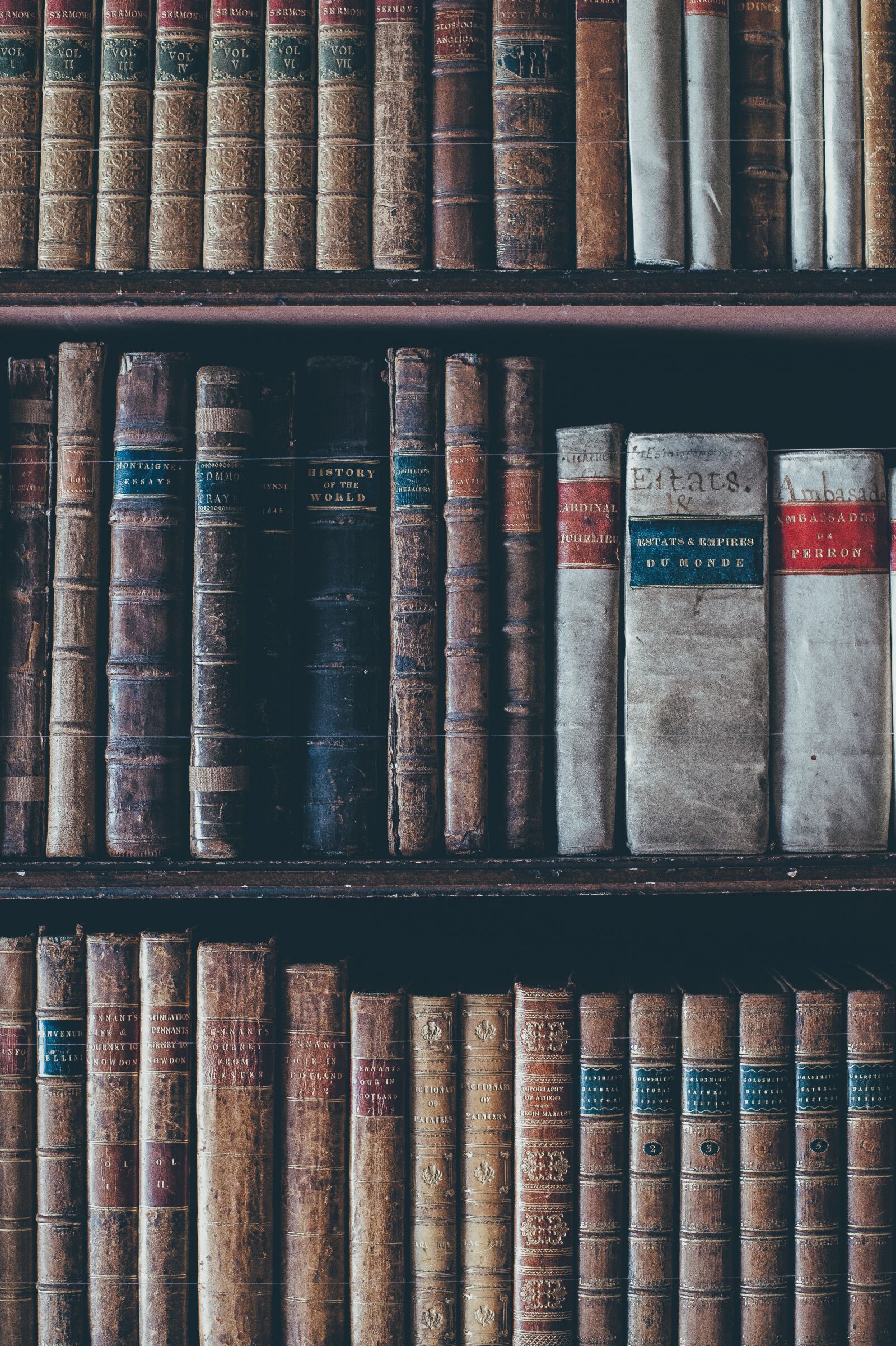 Nikon D4S sample photo. Aged, bookcase, books photography