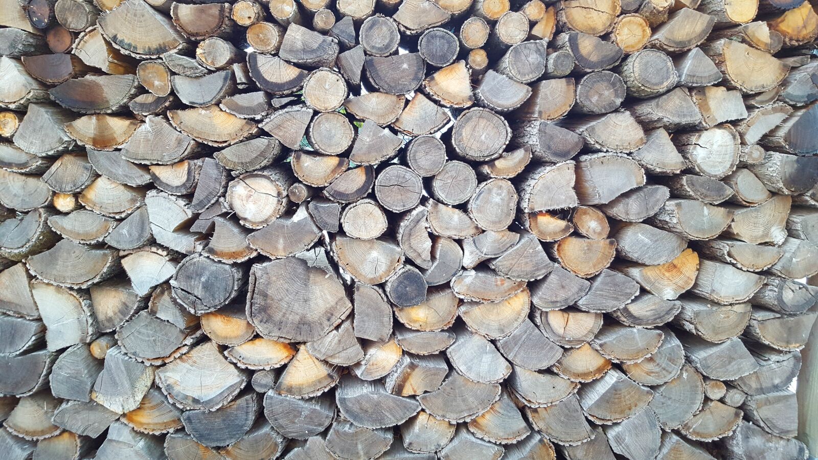 Samsung Galaxy S6 sample photo. Wood, log, firewood photography