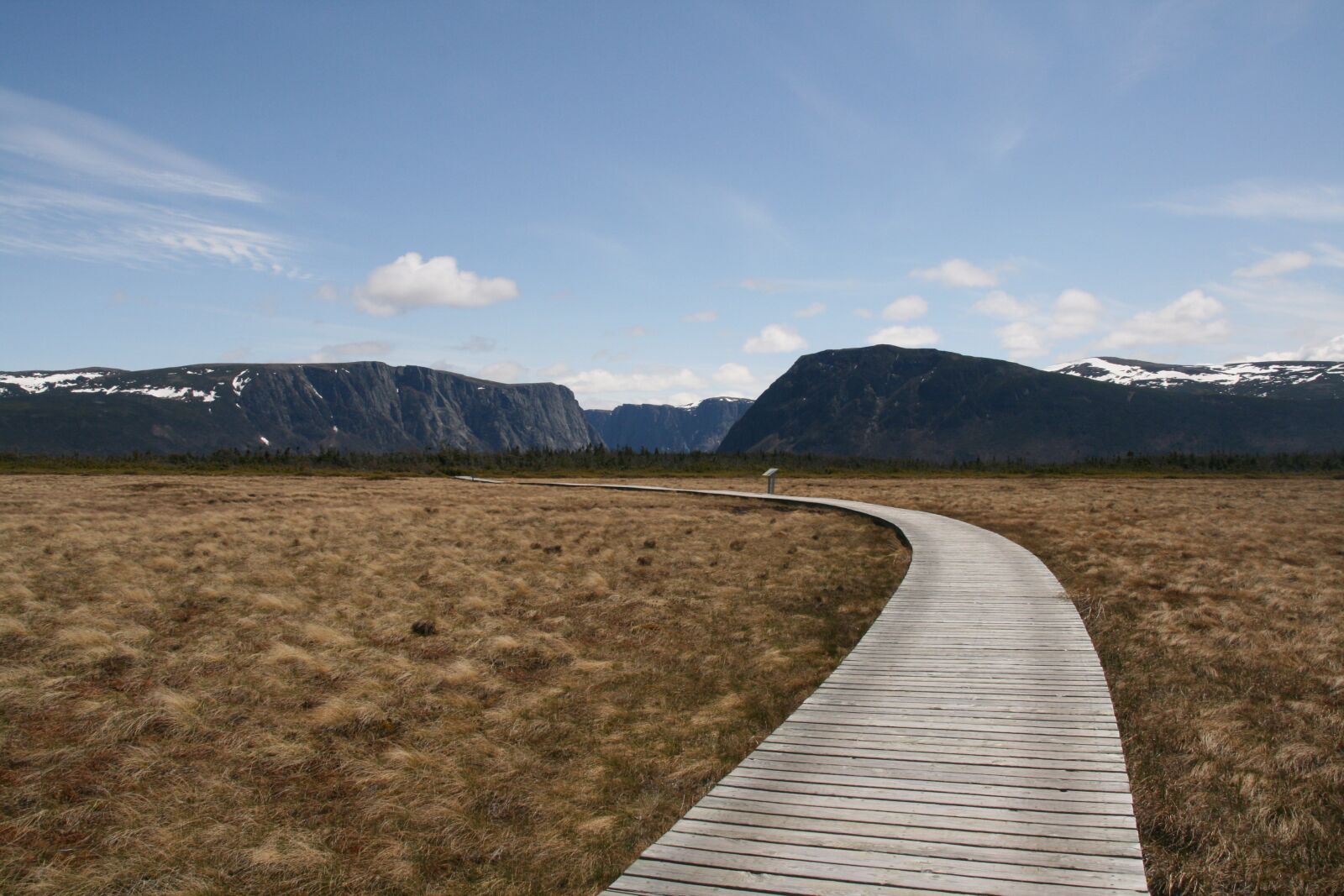 Canon EOS 400D (EOS Digital Rebel XTi / EOS Kiss Digital X) sample photo. Newfoundland, pathway, landscape photography