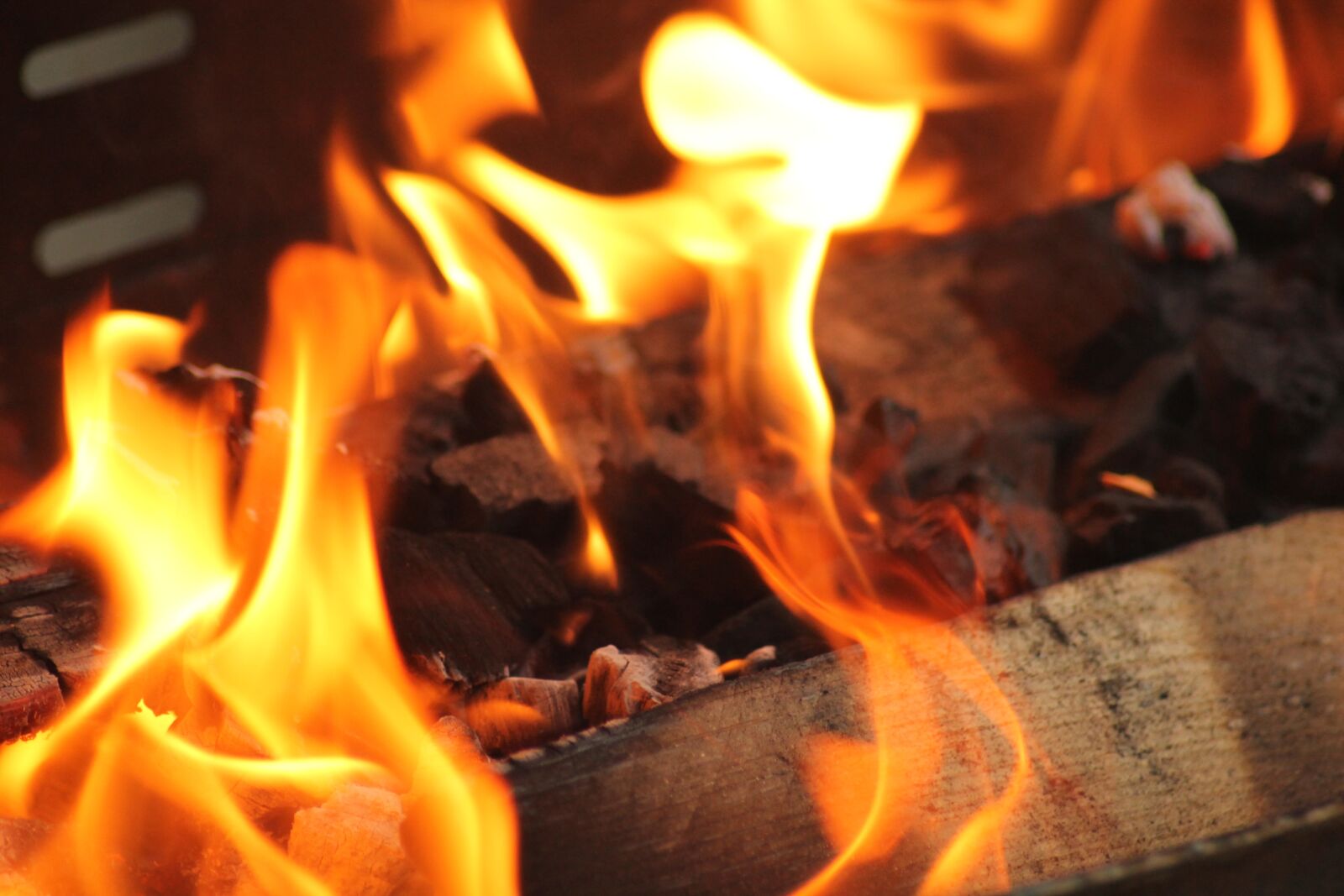 Canon EOS 1100D (EOS Rebel T3 / EOS Kiss X50) sample photo. Barbecue, fire, wood photography
