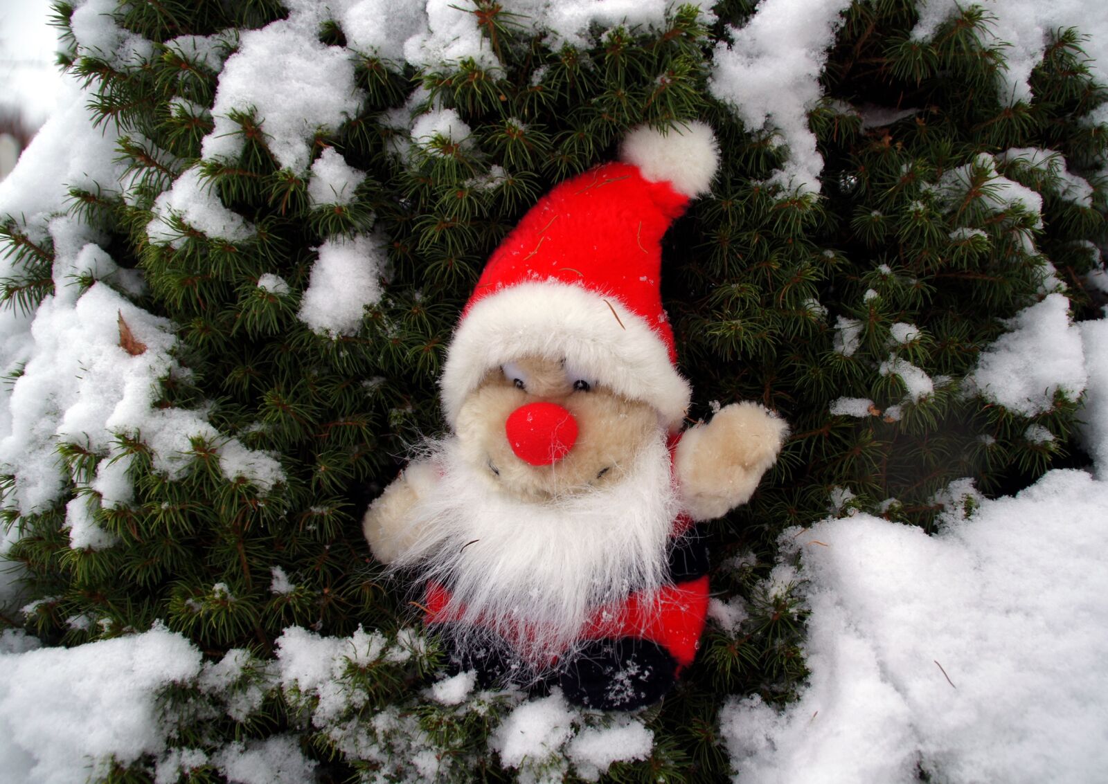 Sony DT 18-200mm F3.5-6.3 sample photo. Brownie, the elves, christmas photography