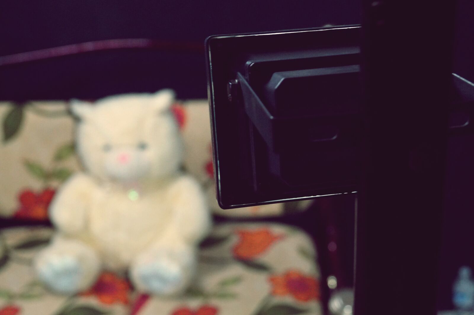 Sony DT 18-55mm F3.5-5.6 SAM II sample photo. Oso, foto, luz photography
