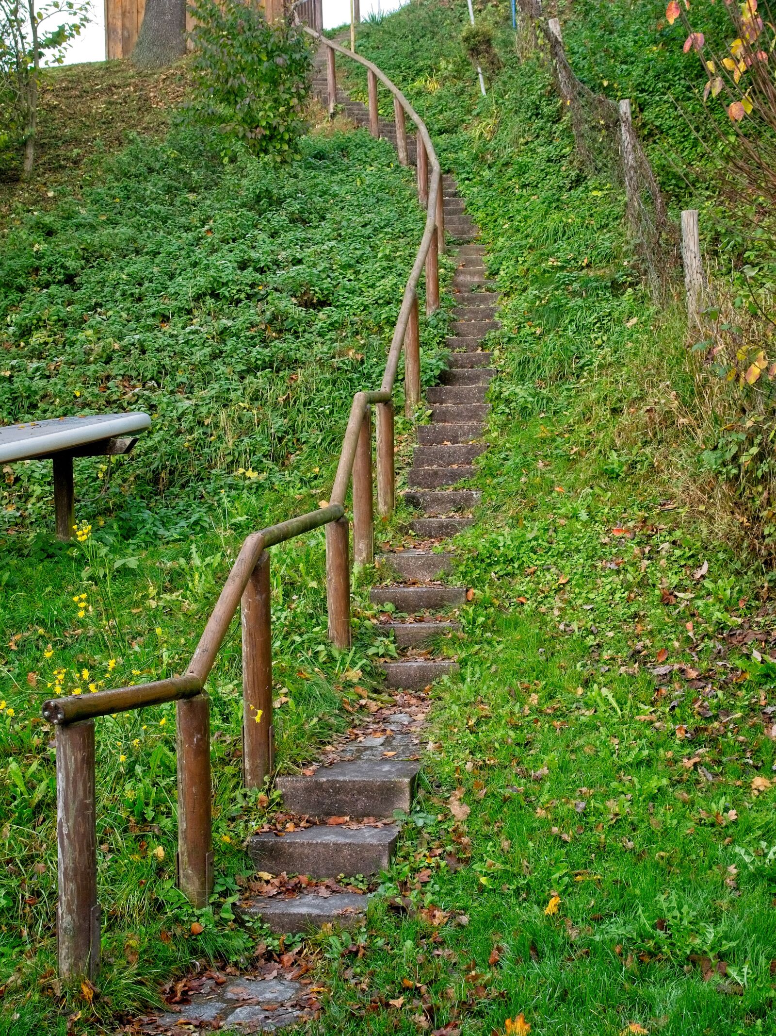 Nikon D7100 sample photo. Stairs, gradually, nature photography