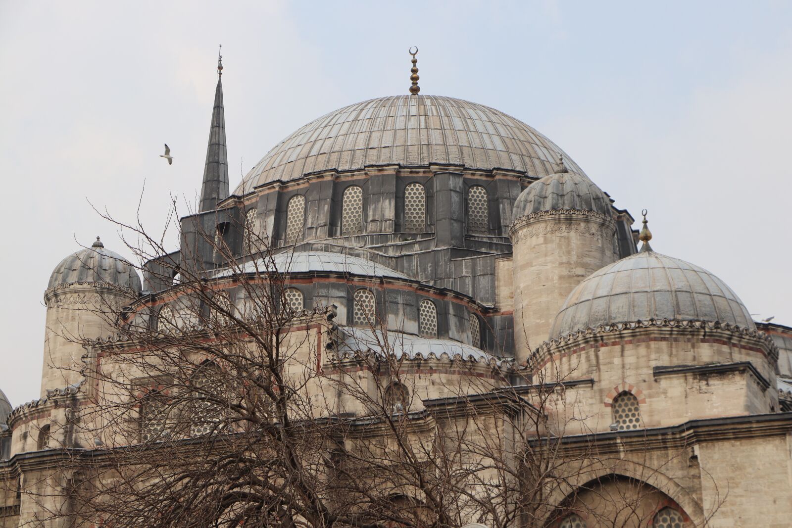 Canon EOS 77D (EOS 9000D / EOS 770D) sample photo. Cami, islam, turkey photography